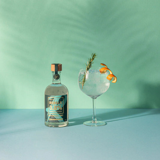 Gin alternatyva be alkoholio – Rebels Spirits